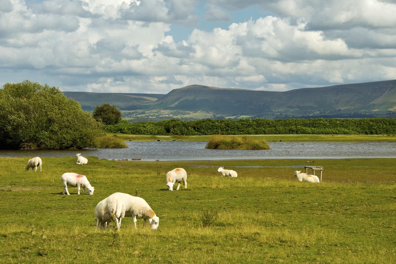 Bed and Breakfast Brynderwen Llangorse Exteriér fotografie